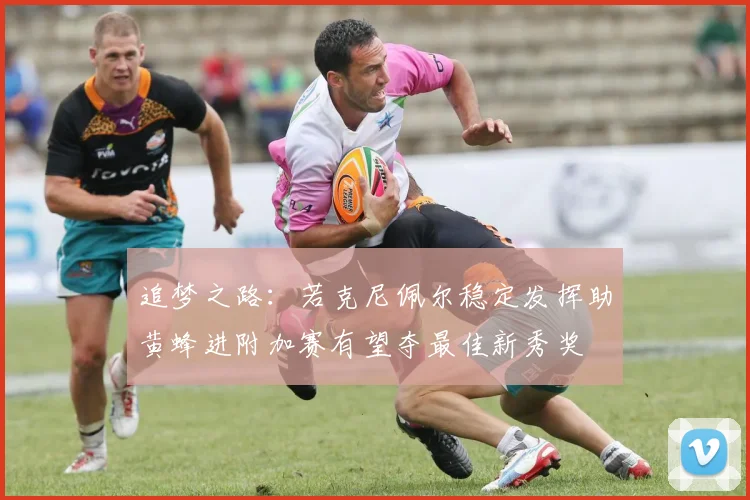 追梦之路：若克尼佩尔稳定发挥助黄蜂进附加赛有望夺最佳新秀奖
